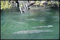 St Johns River 2007-089.JPG
