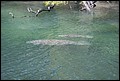 St Johns River 2007-090.JPG
