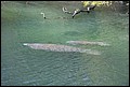 St Johns River 2007-091.JPG