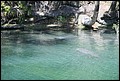 St Johns River 2007-093.JPG