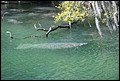 St Johns River 2007-097.JPG