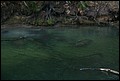 St Johns River 2007-098.JPG