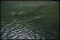 St Johns River 2007-100.JPG