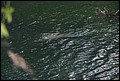 St Johns River 2007-101.JPG