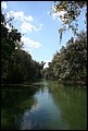 St Johns River 2007-104.JPG