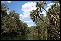 St Johns River 2007-105.JPG