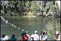 St Johns River 2007-115.JPG