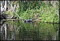 St. Johns River