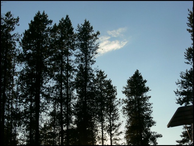 P1010983.JPG