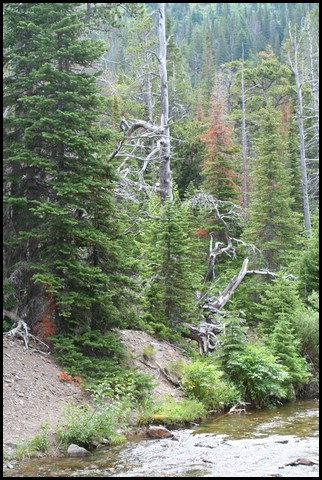 Wainford Reunion - Glacier 096.jpg