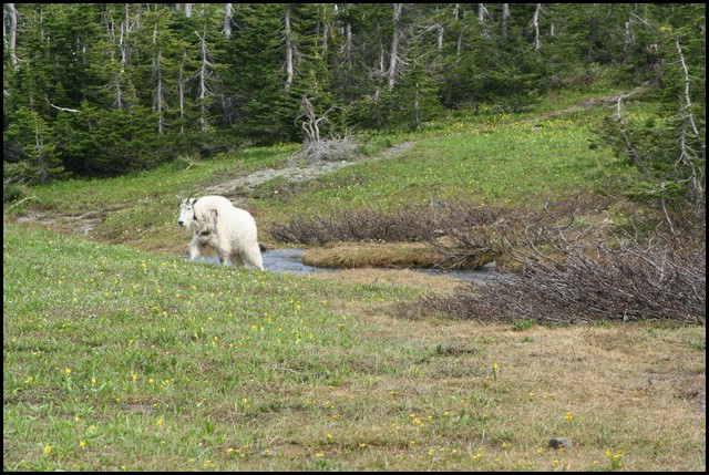 Wainford Reunion - Glacier 234.jpg