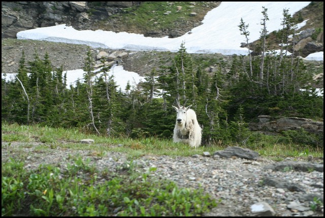 Wainford Reunion - Glacier 238.jpg