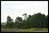 Wainford Reunion - Glacier 076.jpg