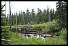 Wainford Reunion - Glacier 081.jpg