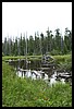 Wainford Reunion - Glacier 082.jpg