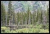 Wainford Reunion - Glacier 085.jpg
