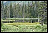 Wainford Reunion - Glacier 087.jpg