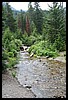 Wainford Reunion - Glacier 091.jpg