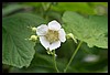 Wainford Reunion - Glacier 121.jpg