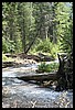 Wainford Reunion - Glacier 171.jpg