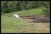 Wainford Reunion - Glacier 234.jpg