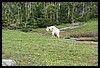 Wainford Reunion - Glacier 235.jpg