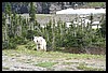 Wainford Reunion - Glacier 237.jpg