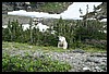 Wainford Reunion - Glacier 238.jpg