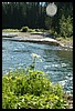 Wainford Reunion - Glacier 259.jpg