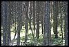 Wainford Reunion - Glacier 268.jpg