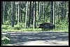 Wainford Reunion - Glacier 269.jpg