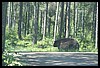 Wainford Reunion - Glacier 270.jpg