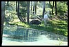 Wainford Reunion - Glacier 272.jpg