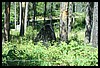 Wainford Reunion - Glacier 277.jpg