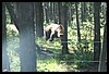 Wainford Reunion - Glacier 280.jpg