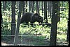 Wainford Reunion - Glacier 281.jpg