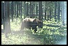 Wainford Reunion - Glacier 282.jpg