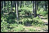 Wainford Reunion - Glacier 283.jpg
