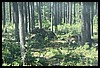 Wainford Reunion - Glacier 284.jpg