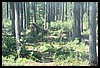 Wainford Reunion - Glacier 285.jpg