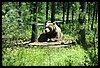 Wainford Reunion - Glacier 288.jpg