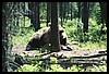 Wainford Reunion - Glacier 290.jpg
