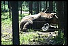 Wainford Reunion - Glacier 292.jpg