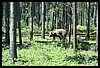 Wainford Reunion - Glacier 293.jpg