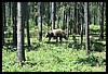 Wainford Reunion - Glacier 294.jpg