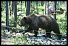Wainford Reunion - Glacier 296.jpg