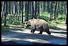 Wainford Reunion - Glacier 299.jpg