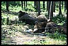 Wainford Reunion - Glacier 301.jpg