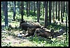 Wainford Reunion - Glacier 302.jpg