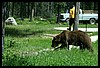 Wainford Reunion - Glacier 306.jpg